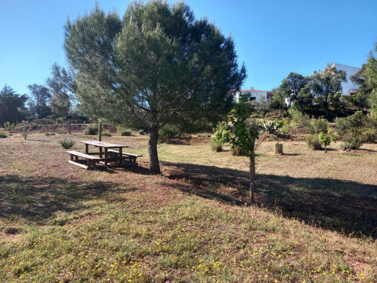 Alagoas Park 楼尔 外观 照片